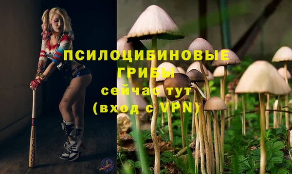 ГАЛЛЮЦИНОГЕННЫЕ ГРИБЫ Арсеньев