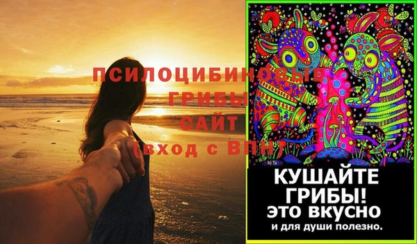 ГАЛЛЮЦИНОГЕННЫЕ ГРИБЫ Арсеньев