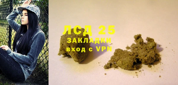 ГАЛЛЮЦИНОГЕННЫЕ ГРИБЫ Арсеньев